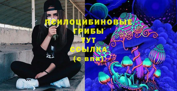 СК Богданович