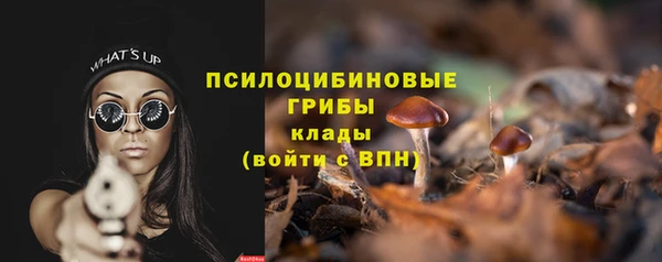 mdpv Богородицк