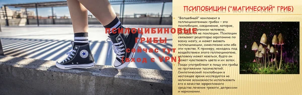 mdpv Богородицк