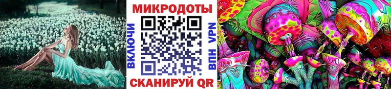 Купить Нелидово Галлюциногенные грибы Psilocybine cubensis